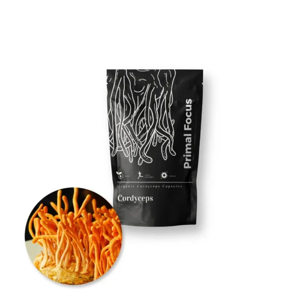 Cordyceps Capsules