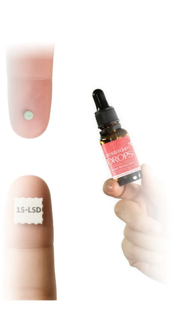 primalfocus.eu homepage (13)