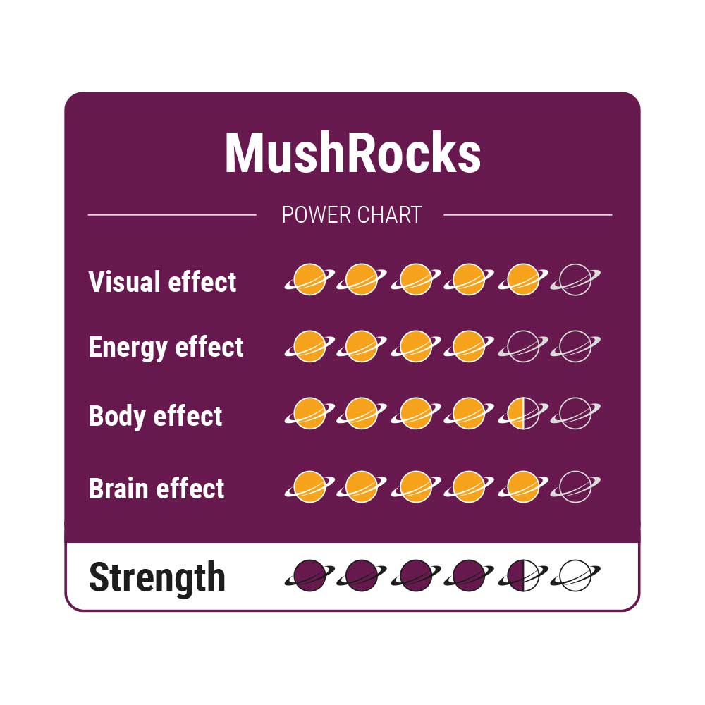 Magic Truffles Mushrocks (15g) - Imagen 3